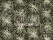 Обои Carl Robinson 9 | cb91507