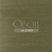 Обои Grasscloth Resource 3 | T5027