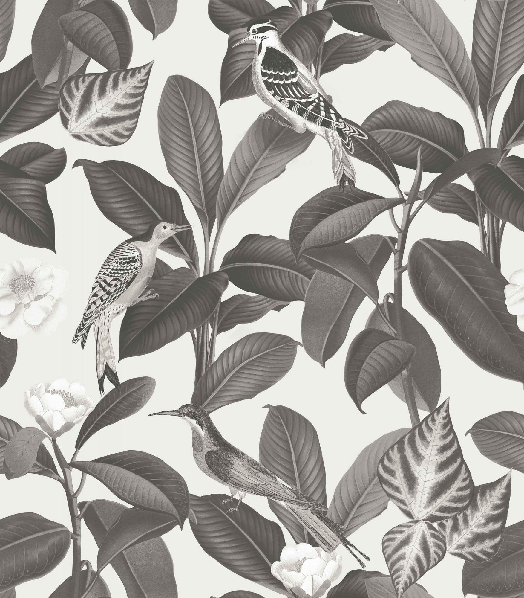 Обои Feria | A00209