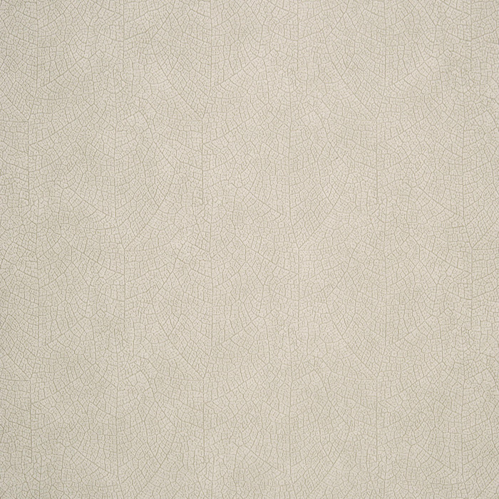 Обои Woods | 26211119