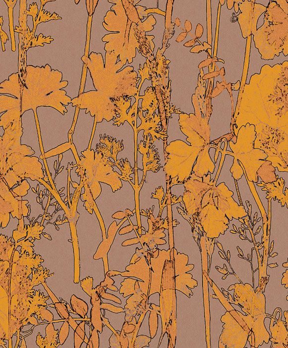 Обои Kosmos | KOS505