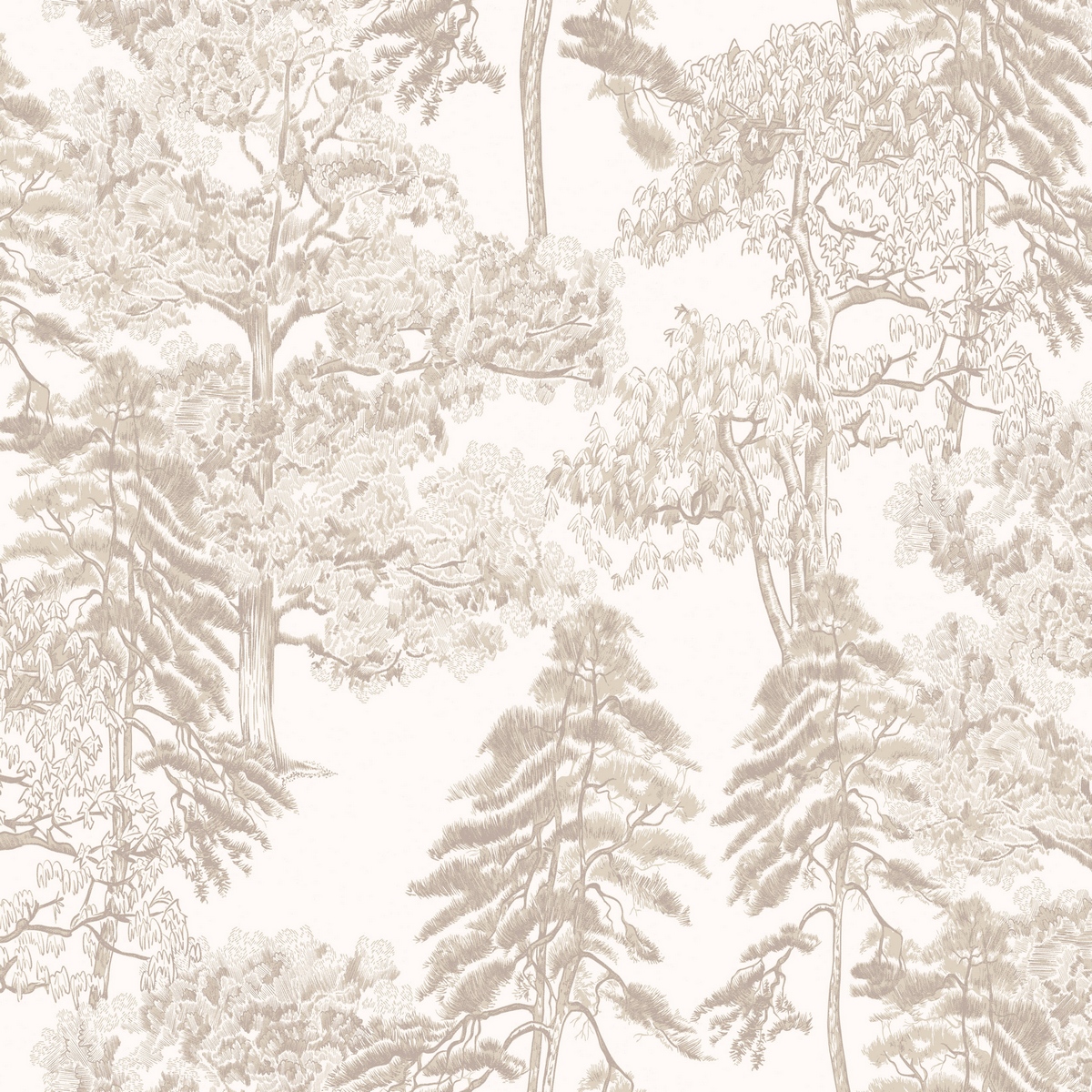 Обои Ambient 4 | Am5002_2