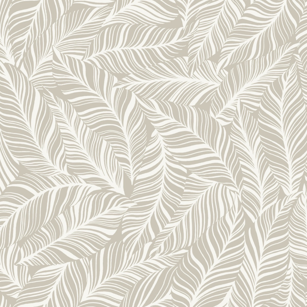 Обои Tropics Resource Library | TC2711