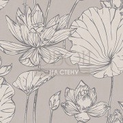 Обои Koi | AI42300