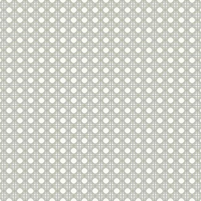 Обои Conservatory | CY1525