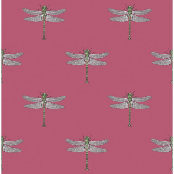 Обои Tortuga | TA20301