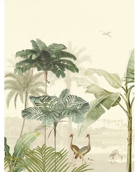 Обои Oasis | 317403