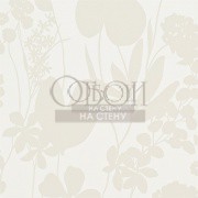 Обои Amazilia | 111053