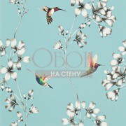 Обои Amazilia | 111060