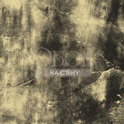 Обои Concrete Cire | 330730