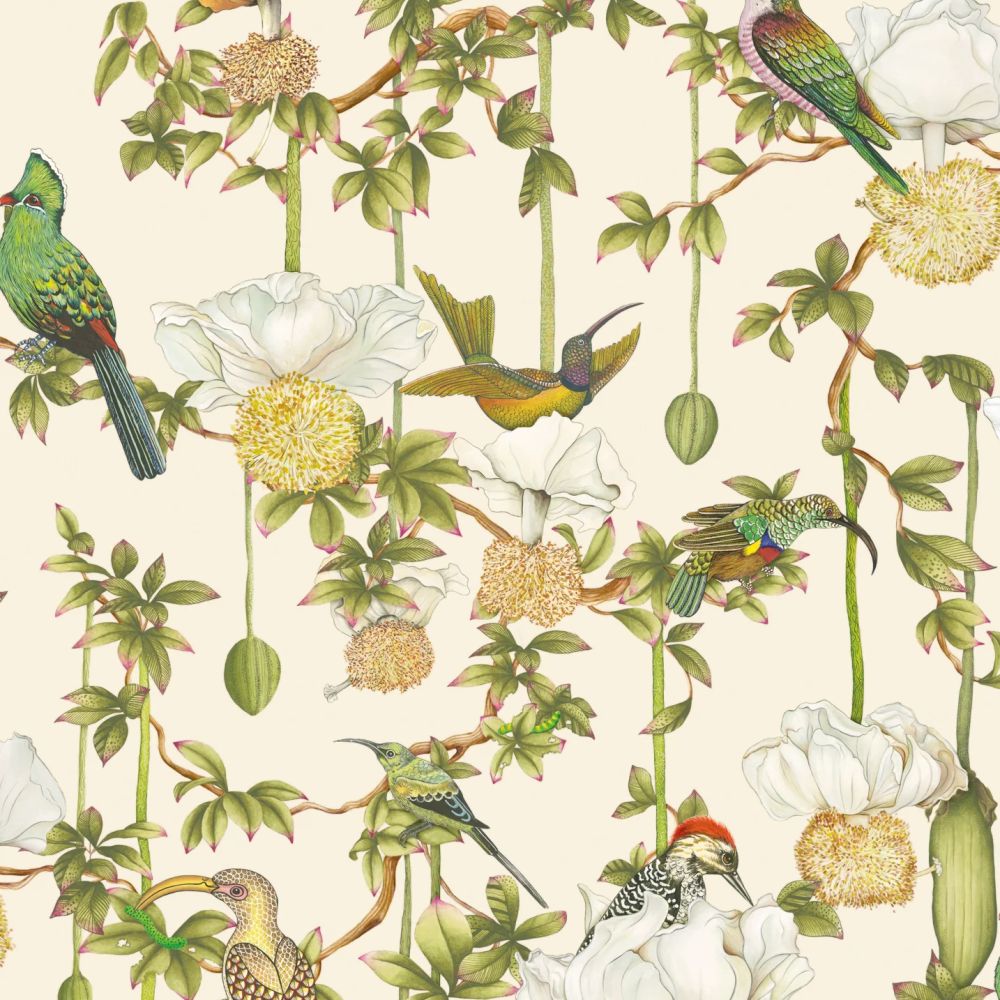 Обои Ardmore – Baobab | 129-2004