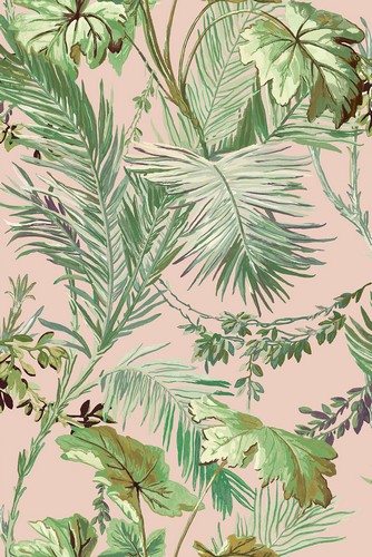 Обои Metamorphosis | 8800002