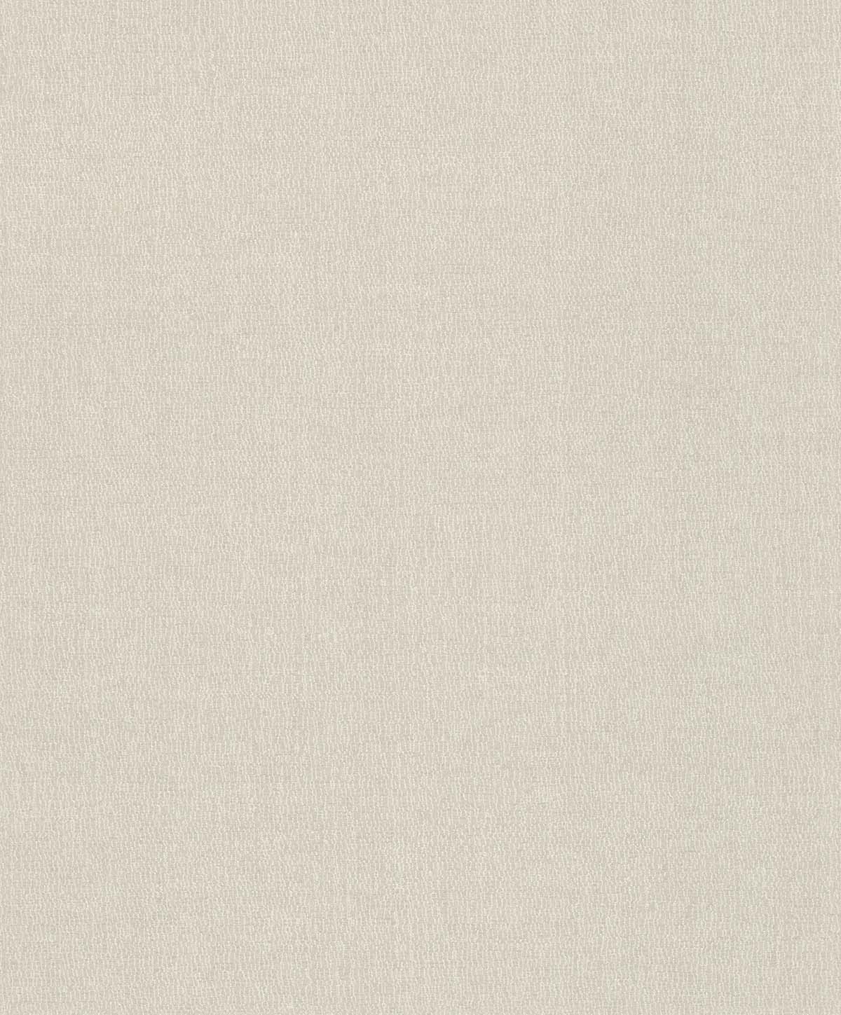 Обои Moana | 301358