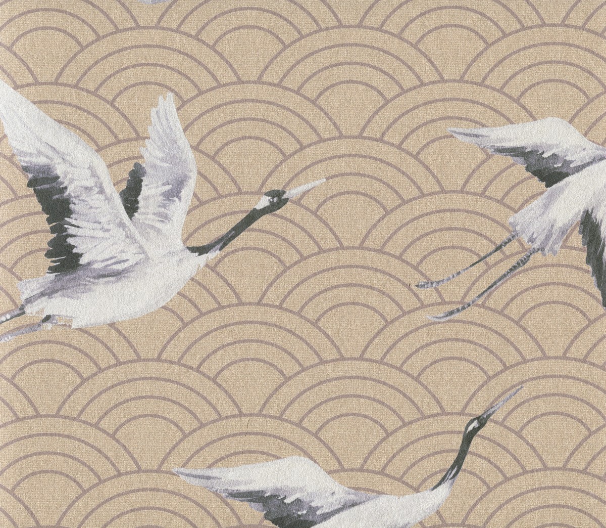 Обои  Discovery | DYW0013