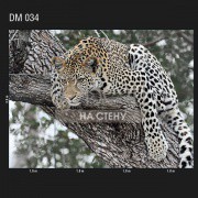 Обои Illusion | DM 034