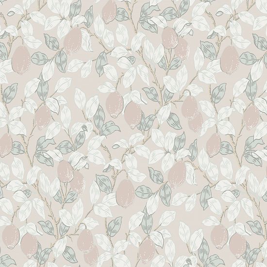 Обои Equator | QTR3 001