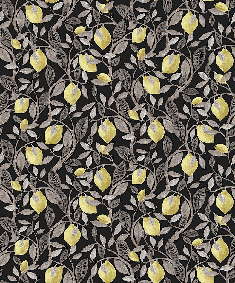 Обои Aquila | ila101