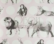 Обои Everybody Bonjour | 137-138722