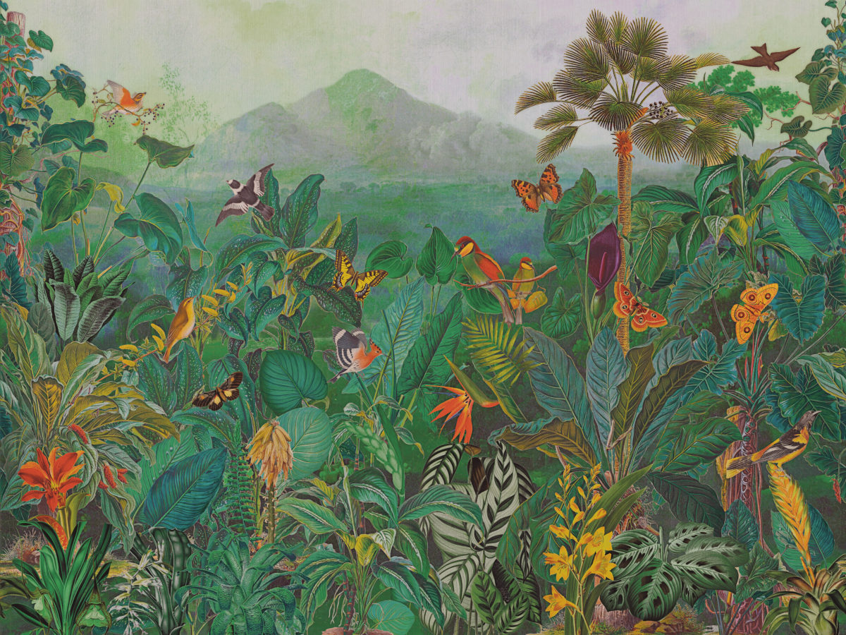 Обои Birds of Paradise | BOP401