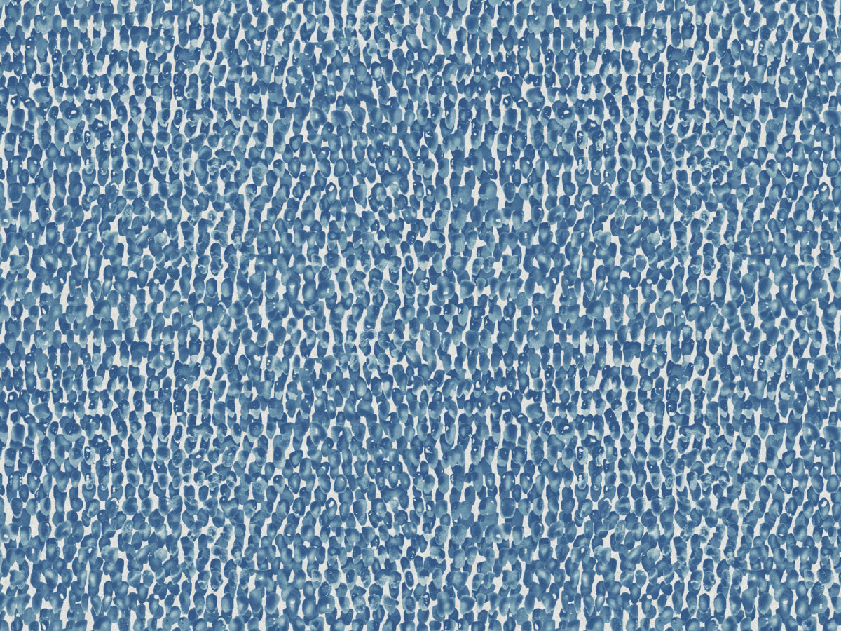 Обои Joy | JOY45