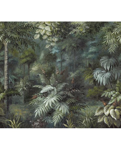 Обои Oasis | 317409