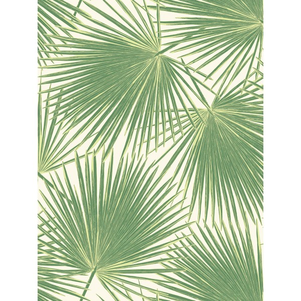 Обои Tortuga | TA20204