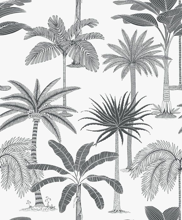 Обои Jungle Jive | 36500