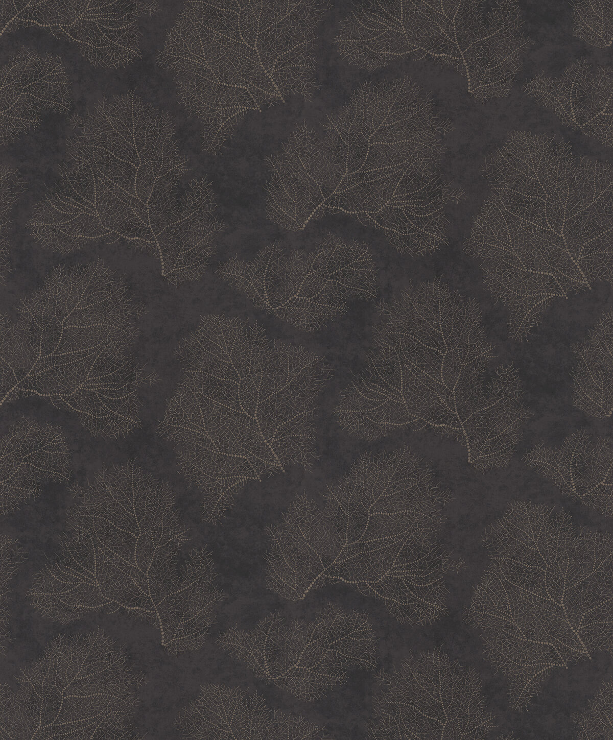 Обои Moana | 300504