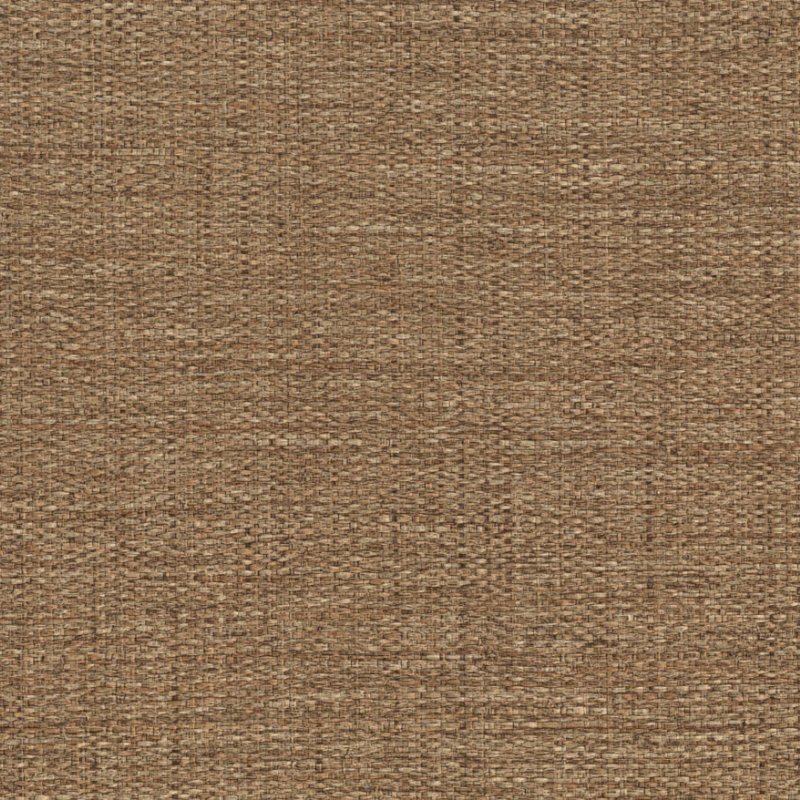 Обои Forest | 50145