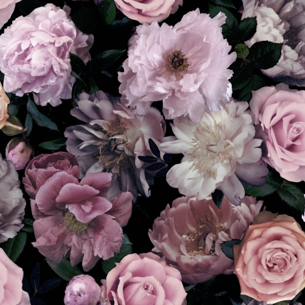 Обои Individuals | 108697