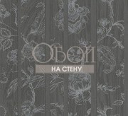 Обои Icon | ICO106