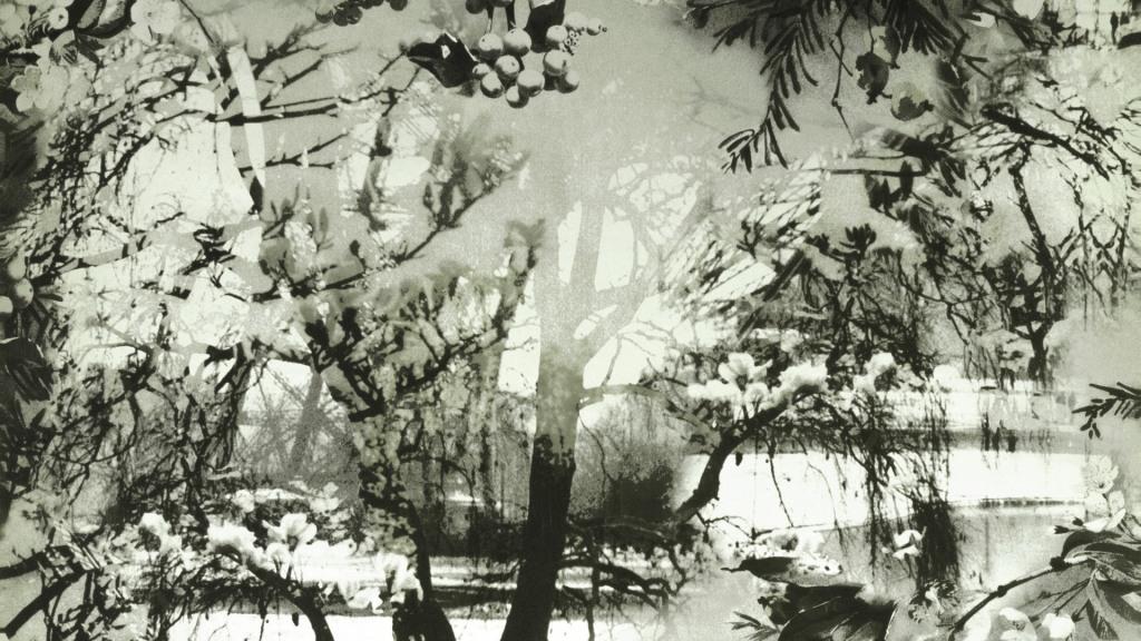 Обои Les Papiers | 3307-01