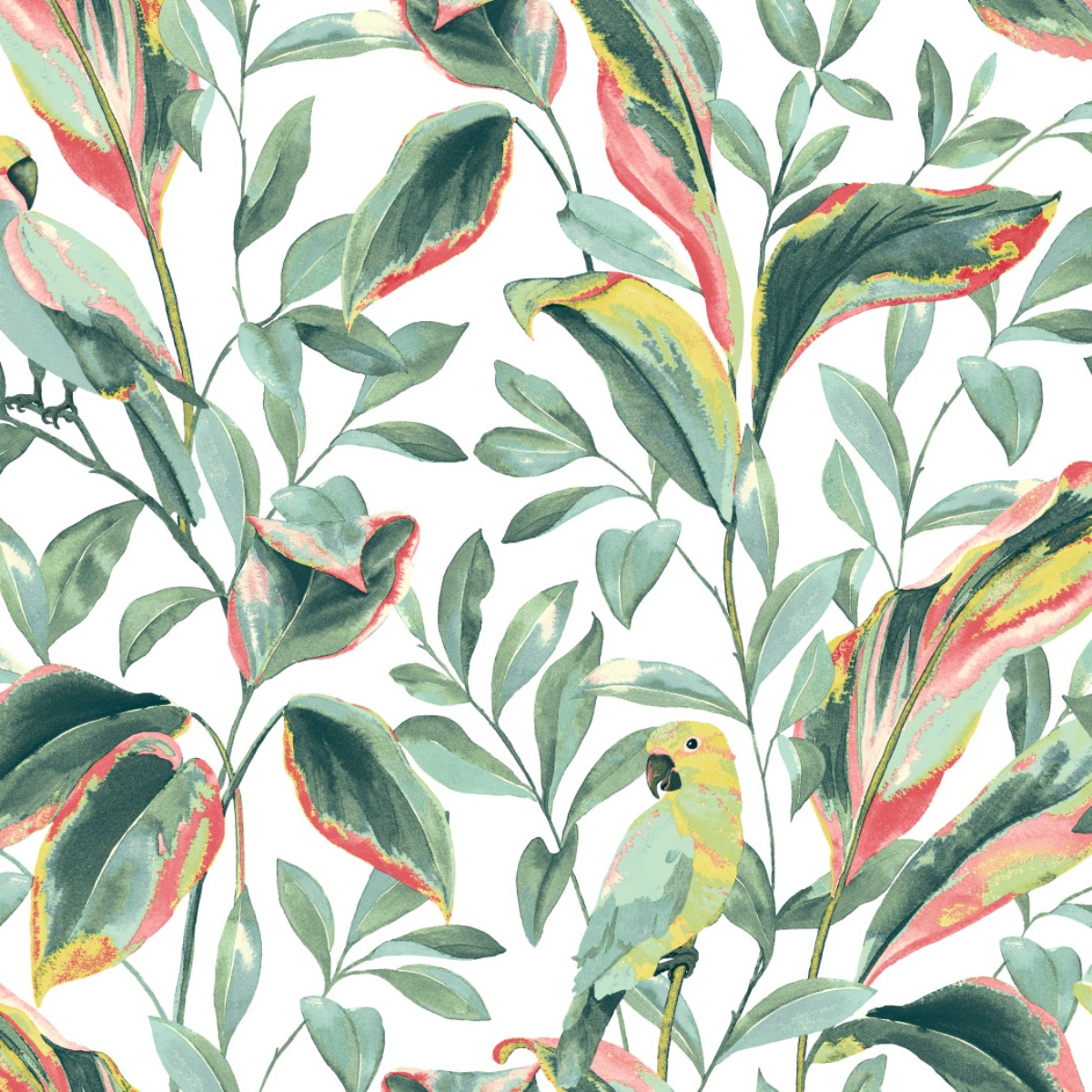 Обои Tropics Resource Library | TC2653