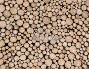 Обои Global Fusion | G45275