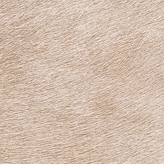 Обои Indomptée | VP625-40