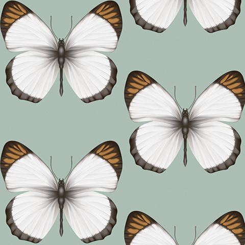 Обои Cheradi | 54401-4