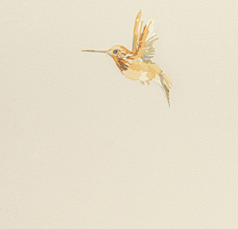 Обои Spectrum Plus | 54356-2