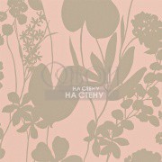 Обои Amazilia | 111051