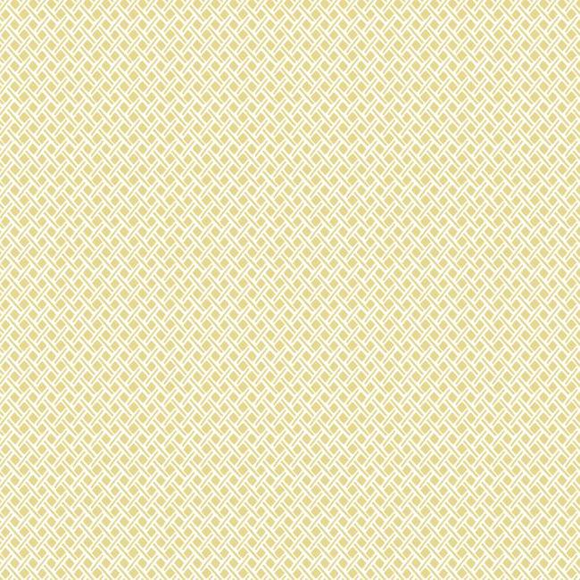 Обои Small Prints Resource Library | SP1529