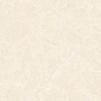 Обои Philipp Plein 2 | Z81013