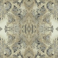 Обои YORK Candice Olson Botanical Dreams DN3717