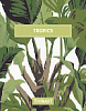 Коллекция: Tropics