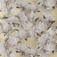 Обои Designers Guild Foscari Fresco PDG1094-04