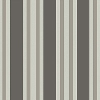 Обои Cole&Son Marquee Stripes 