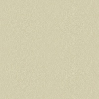 Обои Aura Moonlight NL4003