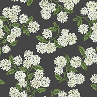 Обои YORK Rifle Paper Co RI5146