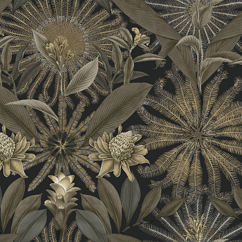 Обои Caviar | VR1531