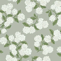 Обои YORK Rifle Paper Co RI5144