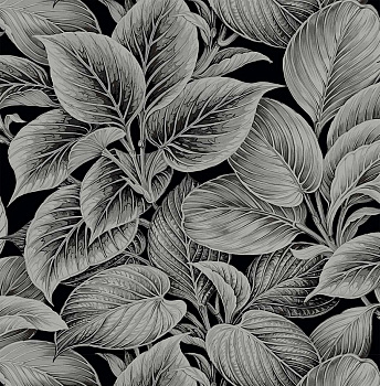 Обои Shades of White | ws70300