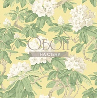 Обои Cole&Son Folie 